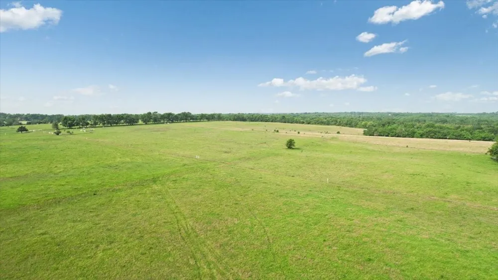 N Fm 100 Honey Grove, TX 75446