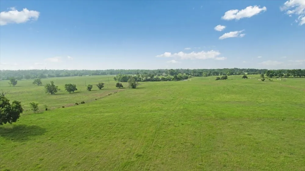 N Fm 100 Honey Grove, TX 75446