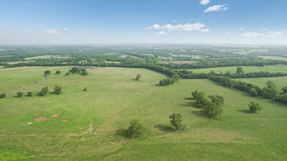 N Fm 100 Honey Grove, TX 75446