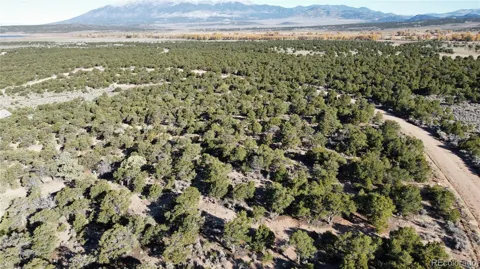 Lot 617 Pico del Questa