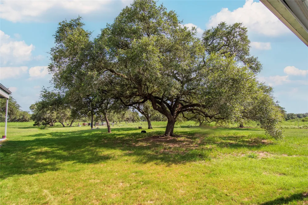 15545 TX-111 E Yoakum, TX 77995