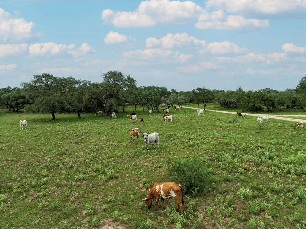 15545 TX-111 E Yoakum, TX 77995
