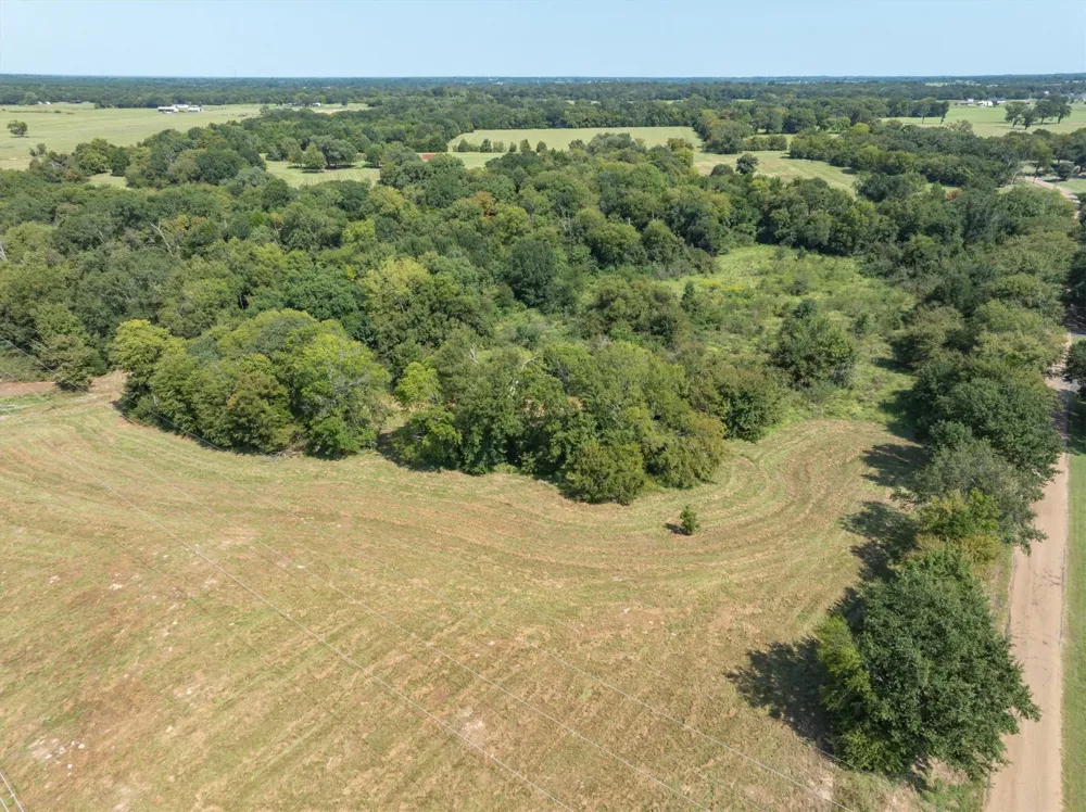 VZ County Road 2411 Canton, TX 75103