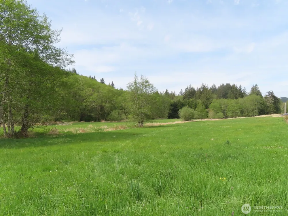 0 XXX Hagen Road Mossyrock, WA 98645