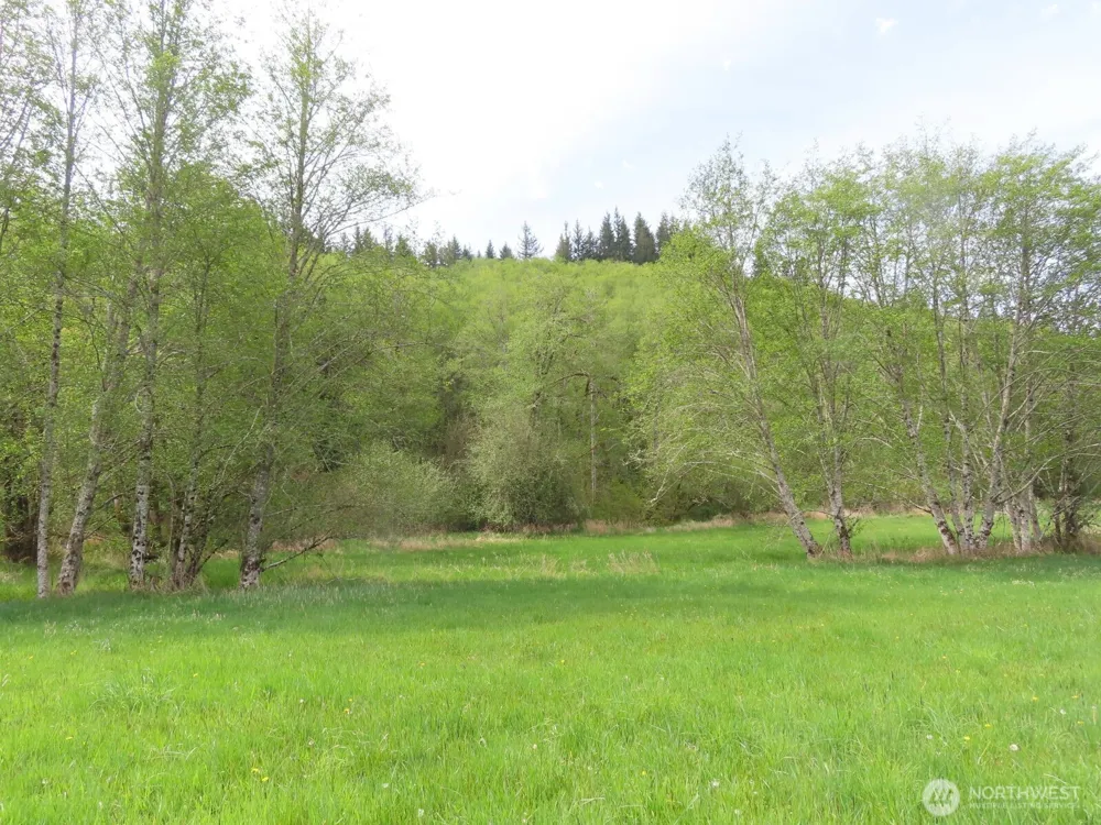 0 XXX Hagen Road Mossyrock, WA 98645