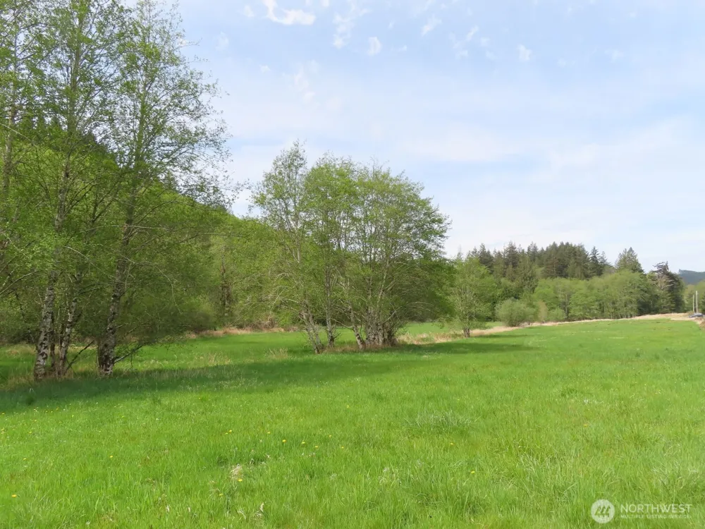 0 XXX Hagen Road Mossyrock, WA 98645