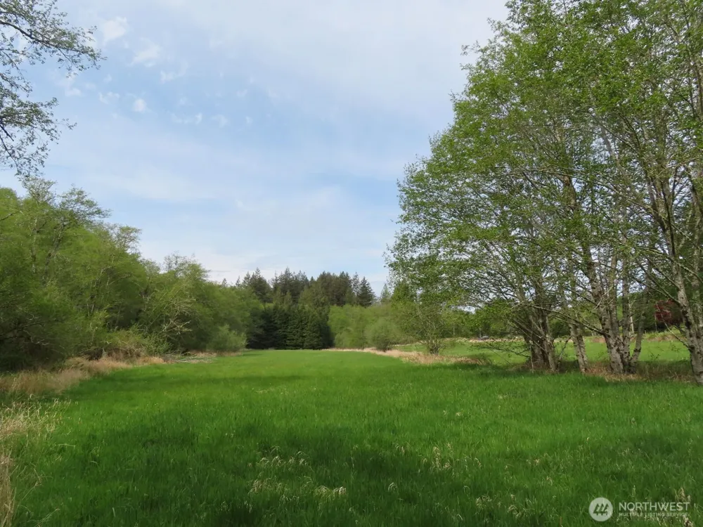 0 XXX Hagen Road Mossyrock, WA 98645