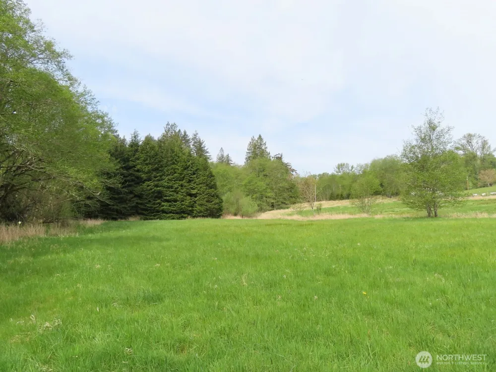 0 XXX Hagen Road Mossyrock, WA 98645