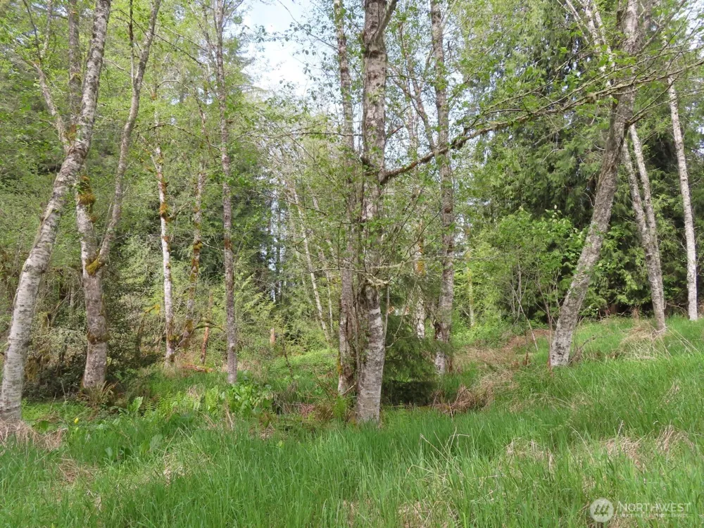 0 XXX Hagen Road Mossyrock, WA 98645