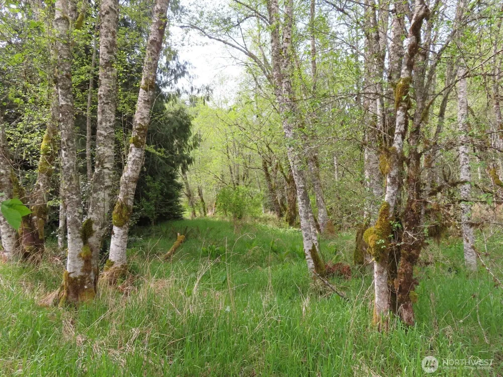 0 XXX Hagen Road Mossyrock, WA 98645