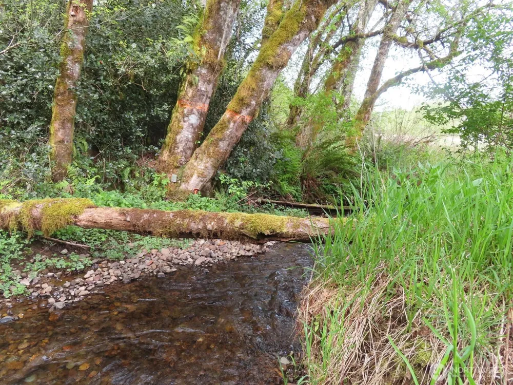 0 XXX Hagen Road Mossyrock, WA 98645