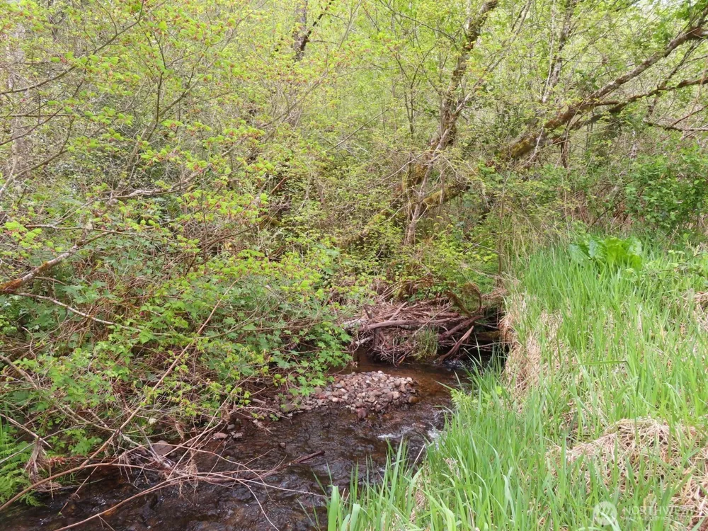 0 XXX Hagen Road Mossyrock, WA 98645