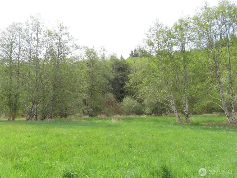 0 XXX Hagen Road Mossyrock, WA 98645