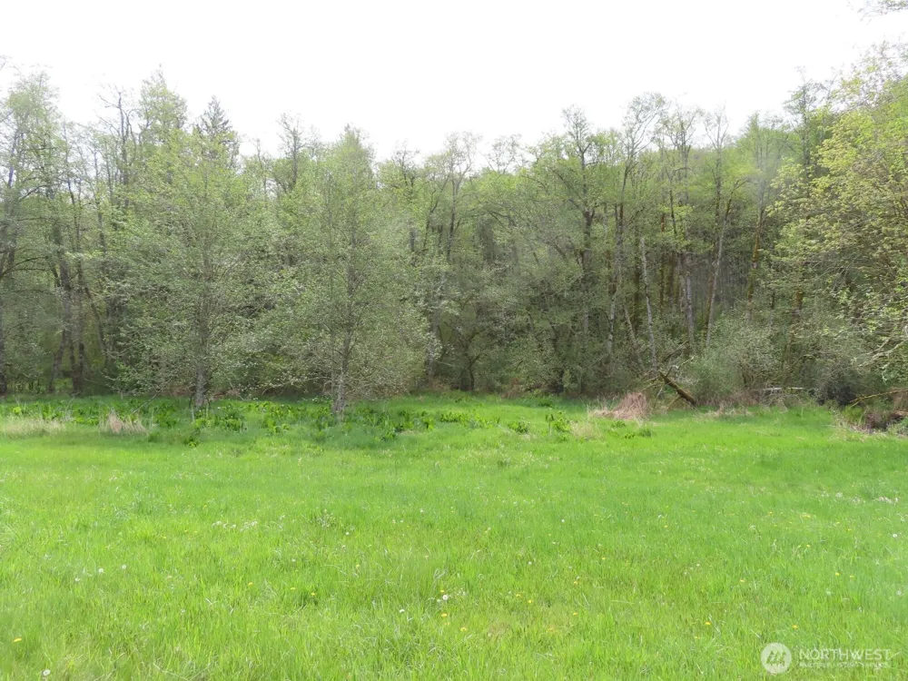 0 XXX Hagen Road Mossyrock, WA 98645