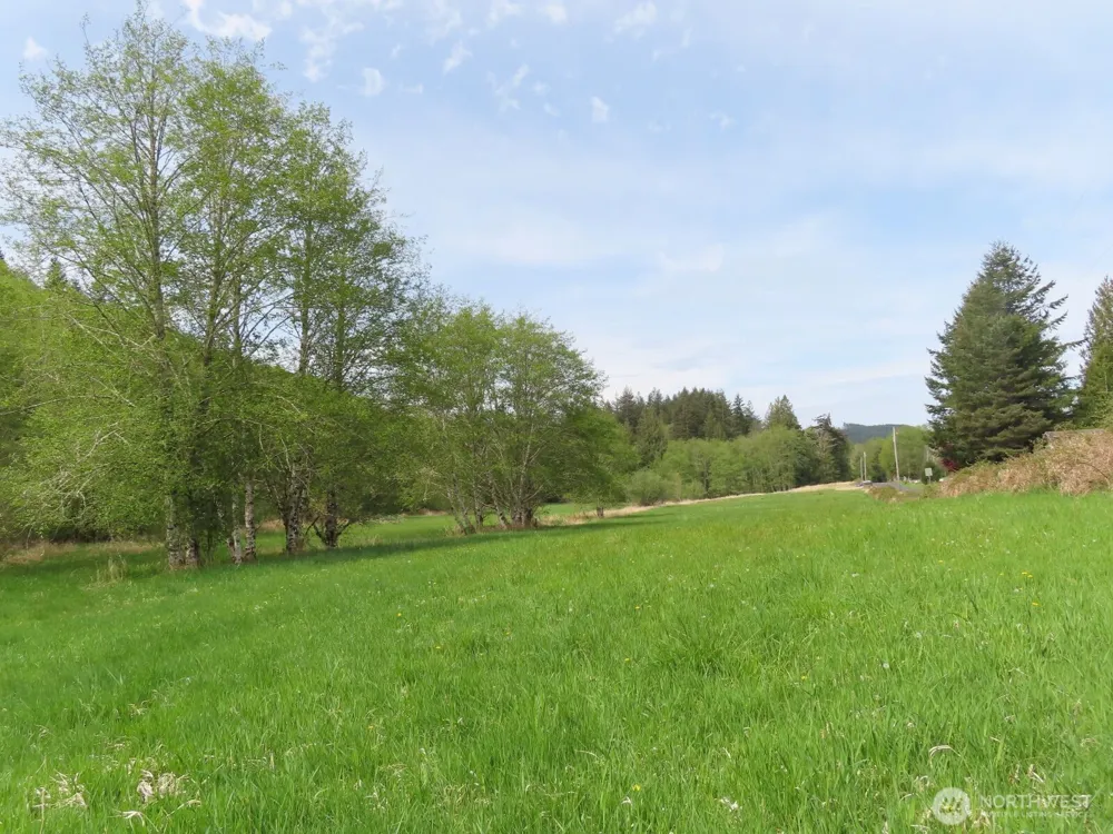 0 XXX Hagen Road Mossyrock, WA 98645