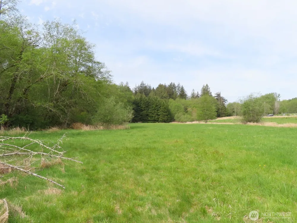 0 XXX Hagen Road Mossyrock, WA 98645