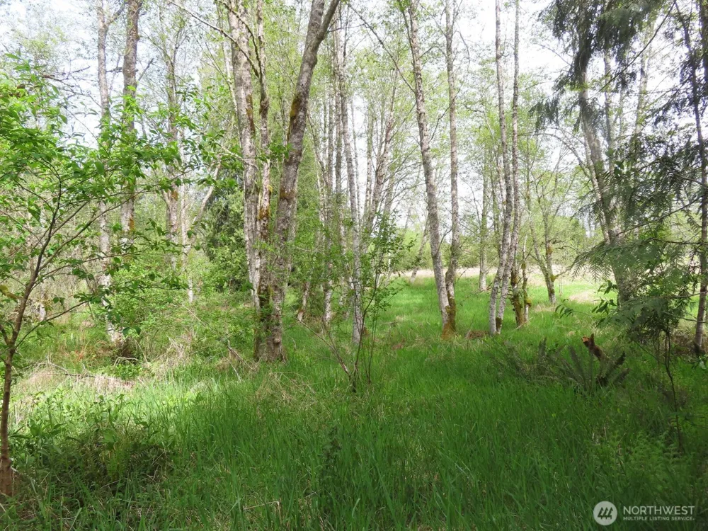 0 XXX Hagen Road Mossyrock, WA 98645