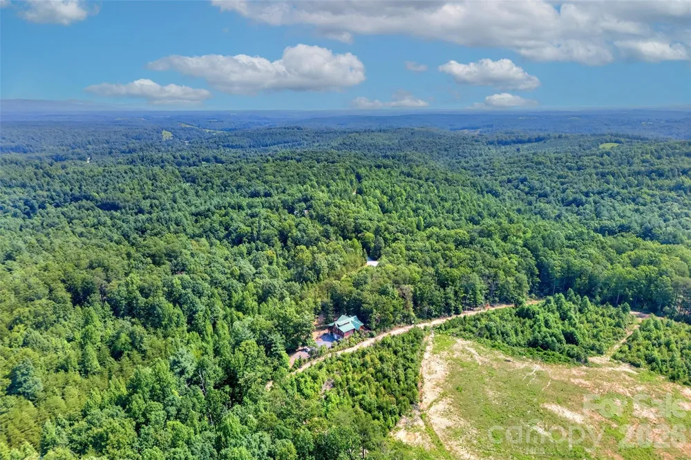 96 Boysenberry Drive Nebo, NC 28761