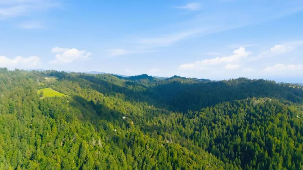 18836 Favre Ridge Road Los Gatos, CA 95033