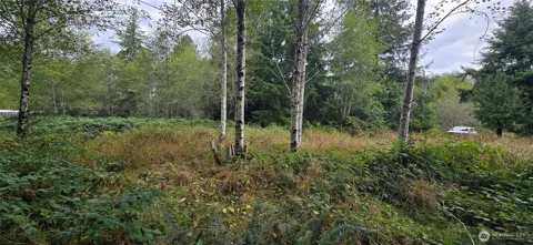 1351 Satsop Road W