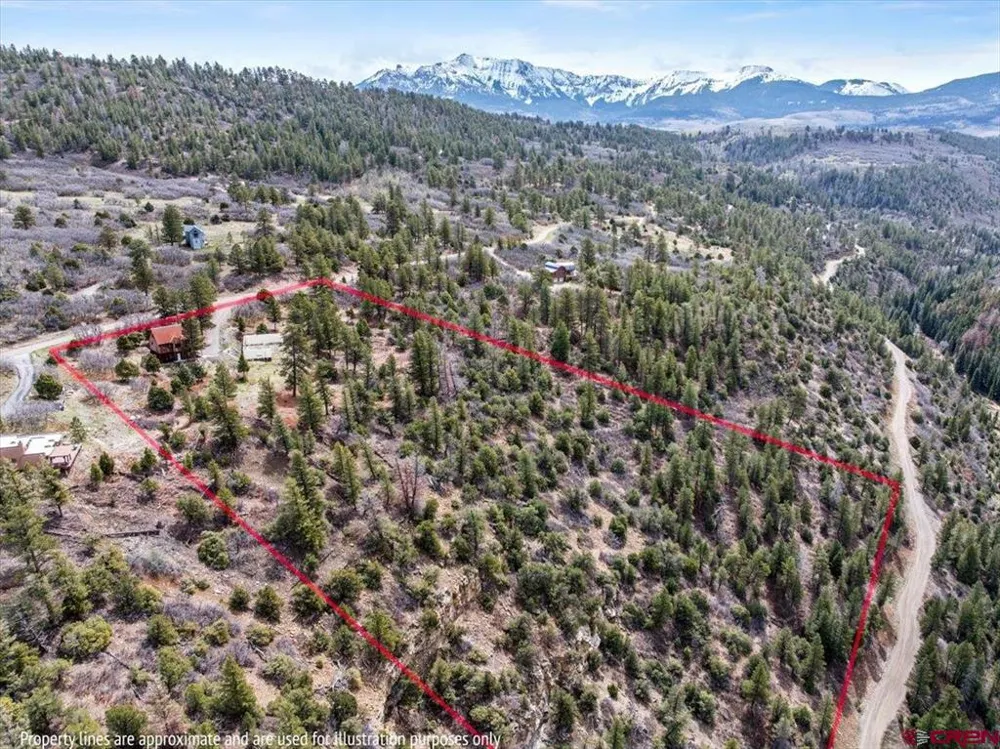 1685 Green Meadows Lane Placerville, CO 81430