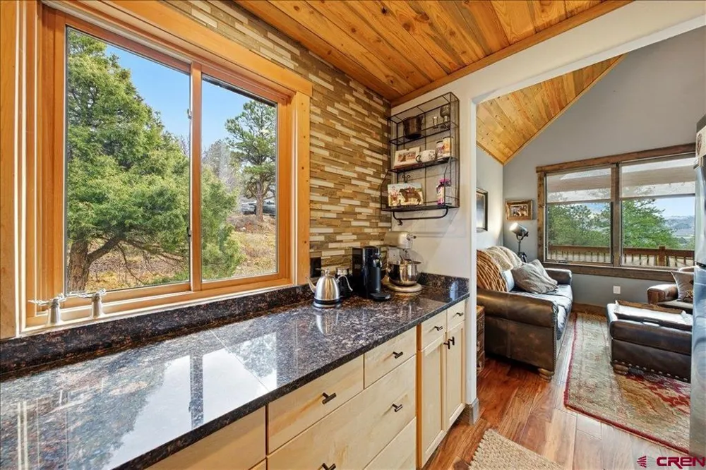 1685 Green Meadows Lane Placerville, CO 81430