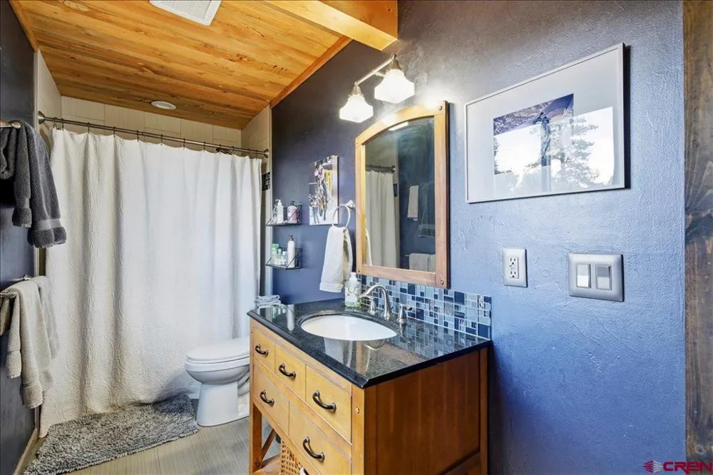 1685 Green Meadows Lane Placerville, CO 81430