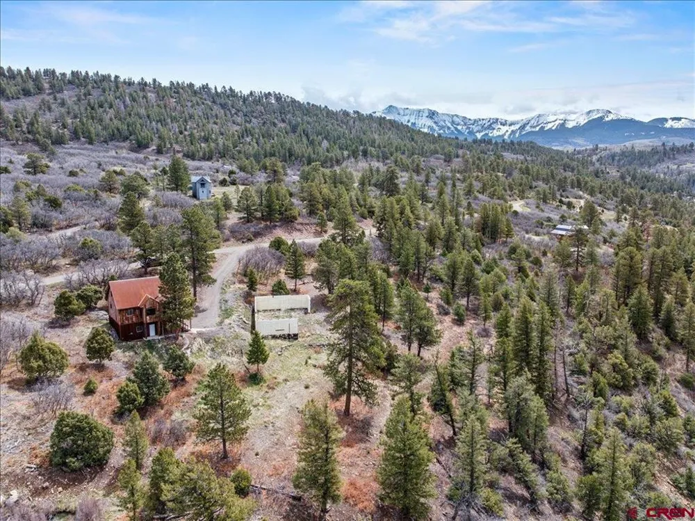 1685 Green Meadows Lane Placerville, CO 81430