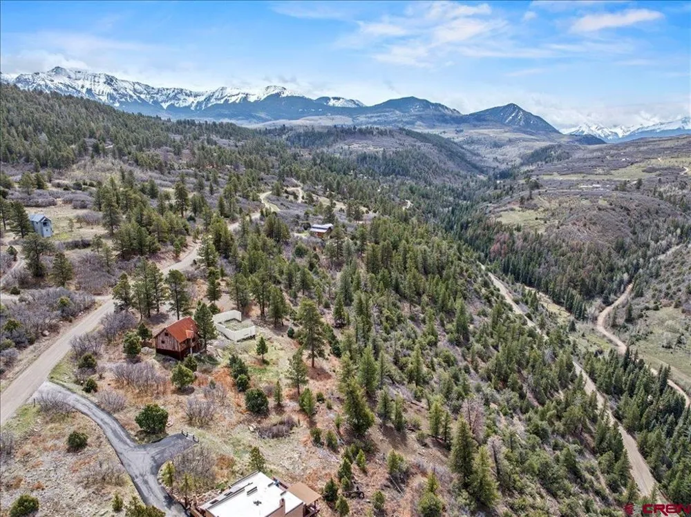 1685 Green Meadows Lane Placerville, CO 81430