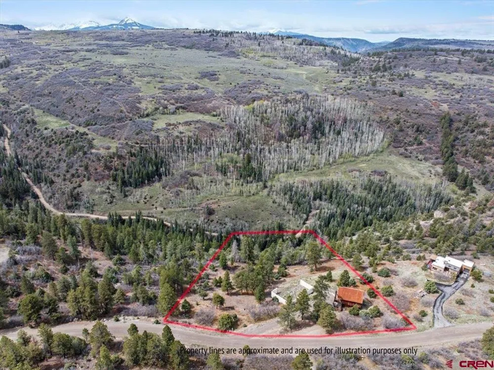 1685 Green Meadows Lane Placerville, CO 81430