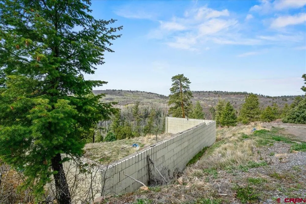 1685 Green Meadows Lane Placerville, CO 81430