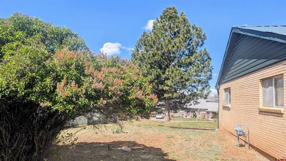 223 W 8Th Street Dove Creek, CO 81324