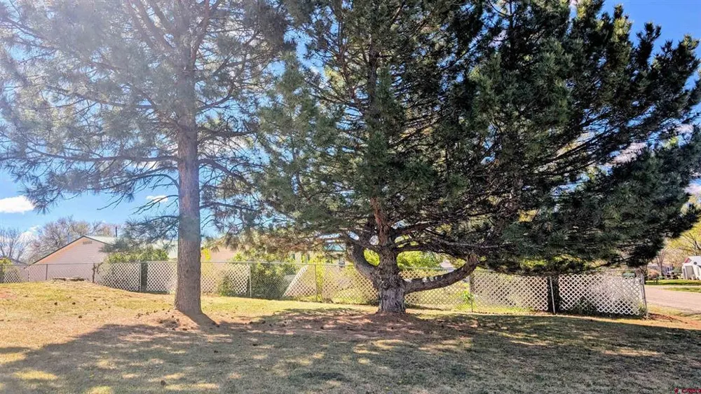 223 W 8Th Street Dove Creek, CO 81324
