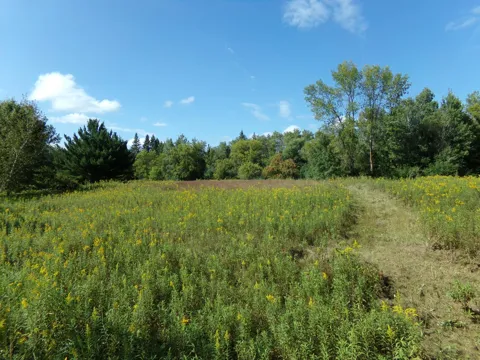 67xx Old Sawmill Road