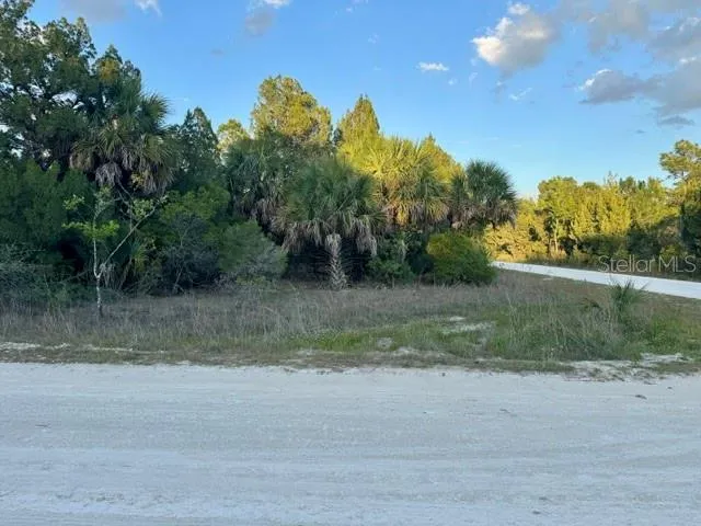 RAPIDAN ROAD Weeki Wachee, FL 34614