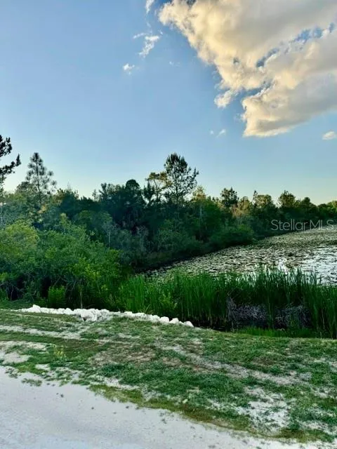 RAPIDAN ROAD Weeki Wachee, FL 34614