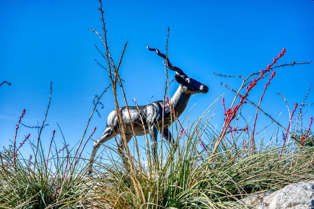 993 Blackbuck Ridge Drive Lampasas, TX 76550