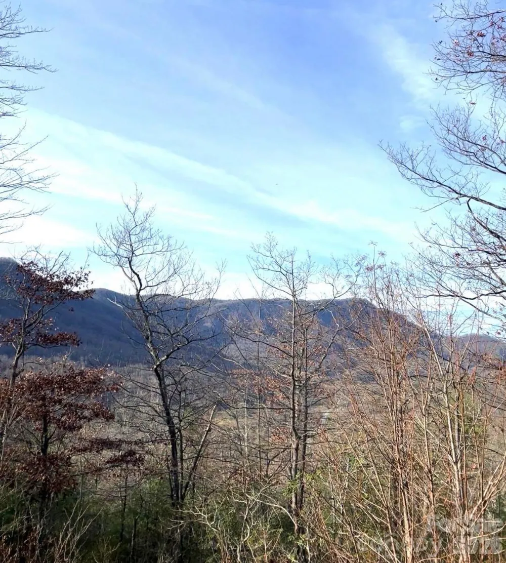 Lot 51B Wilderness Drive Marion, NC 28752