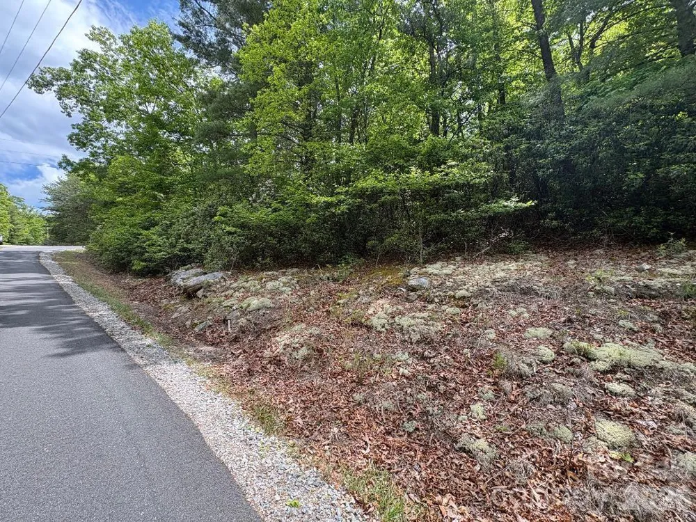 Lot 51B Wilderness Drive Marion, NC 28752
