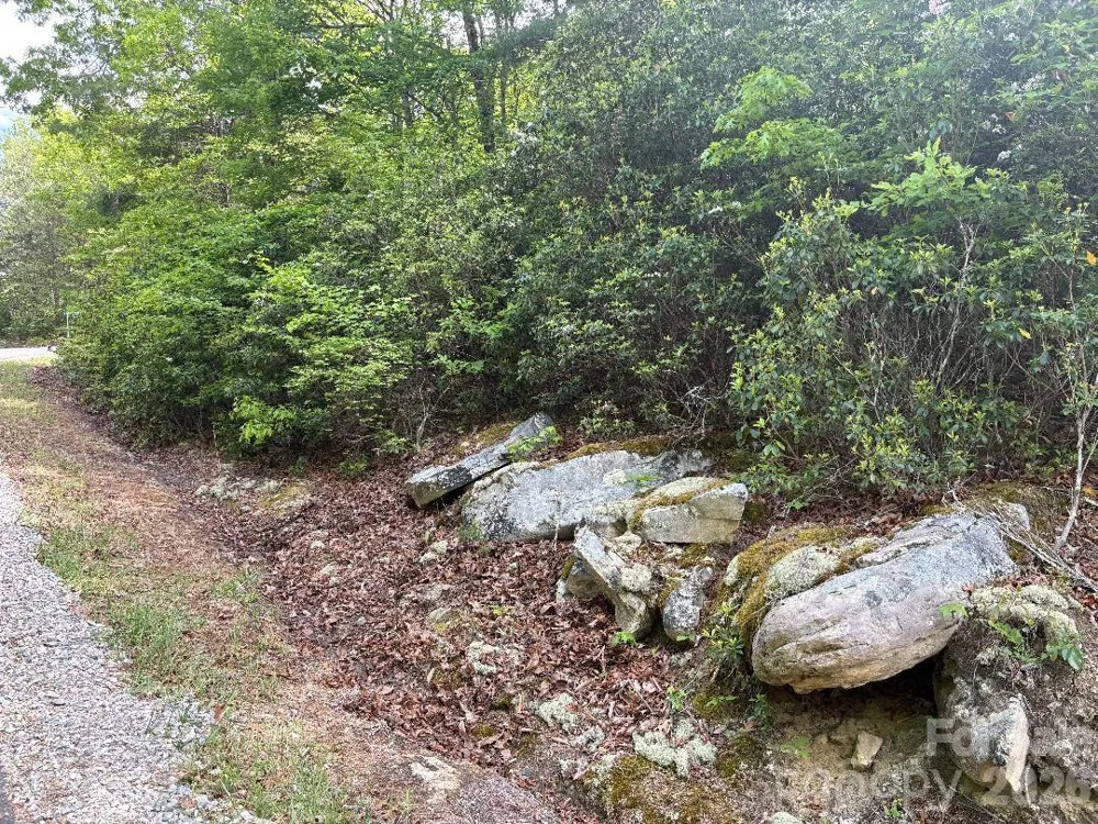 Lot 51B Wilderness Drive Marion, NC 28752