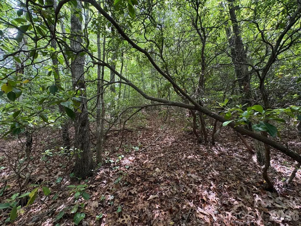 Lot 51B Wilderness Drive Marion, NC 28752