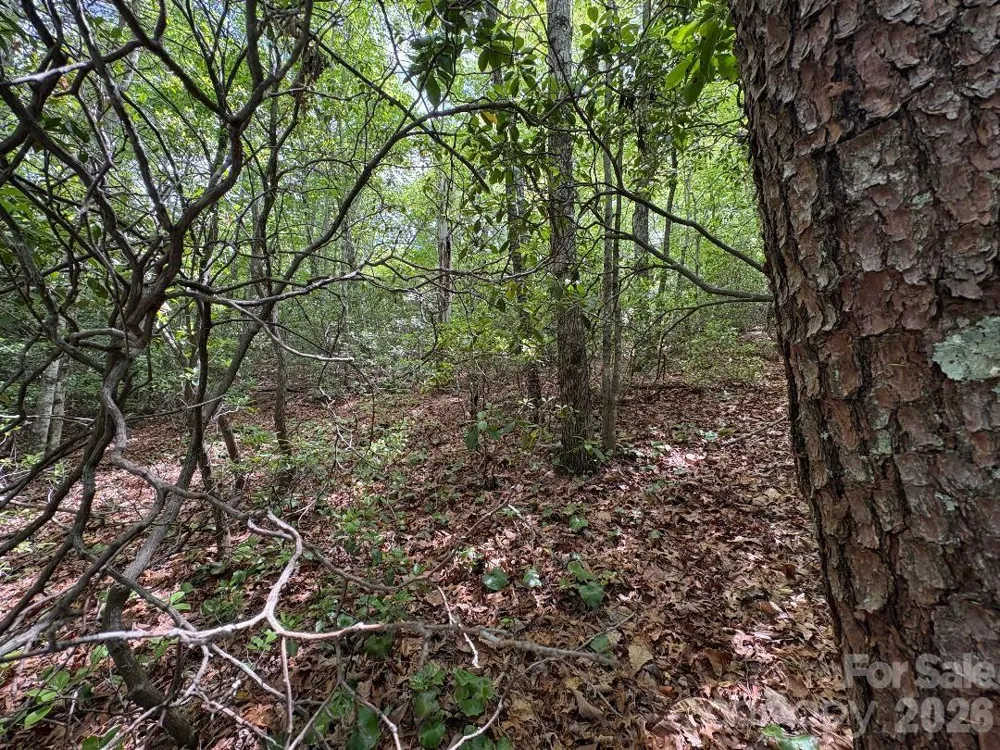 Lot 51B Wilderness Drive Marion, NC 28752