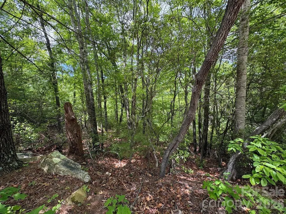 Lot 51B Wilderness Drive Marion, NC 28752