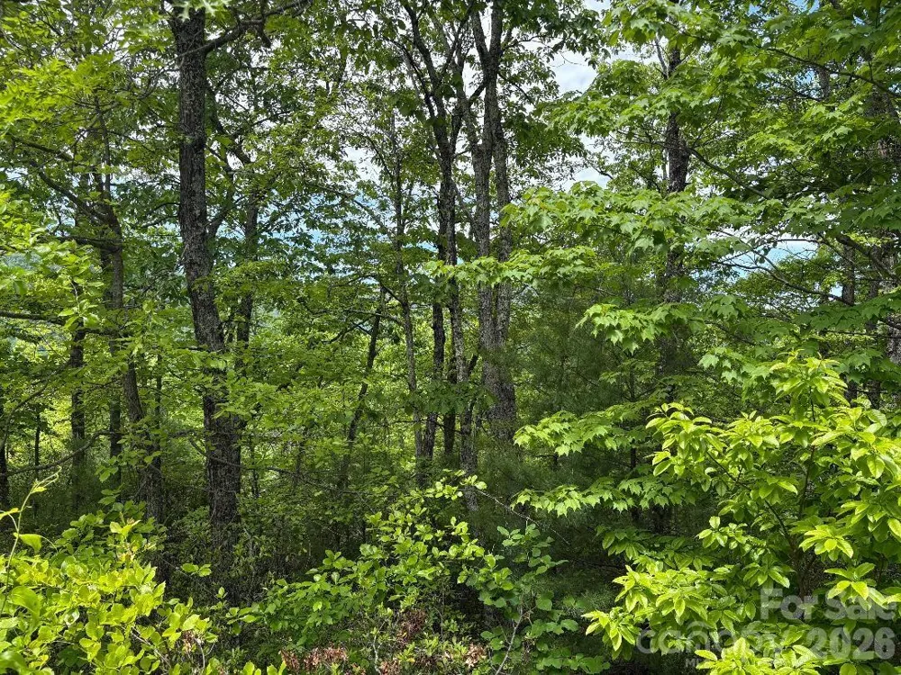 Lot 51B Wilderness Drive Marion, NC 28752
