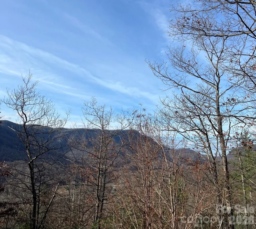 Lot 51B Wilderness Drive Marion, NC 28752
