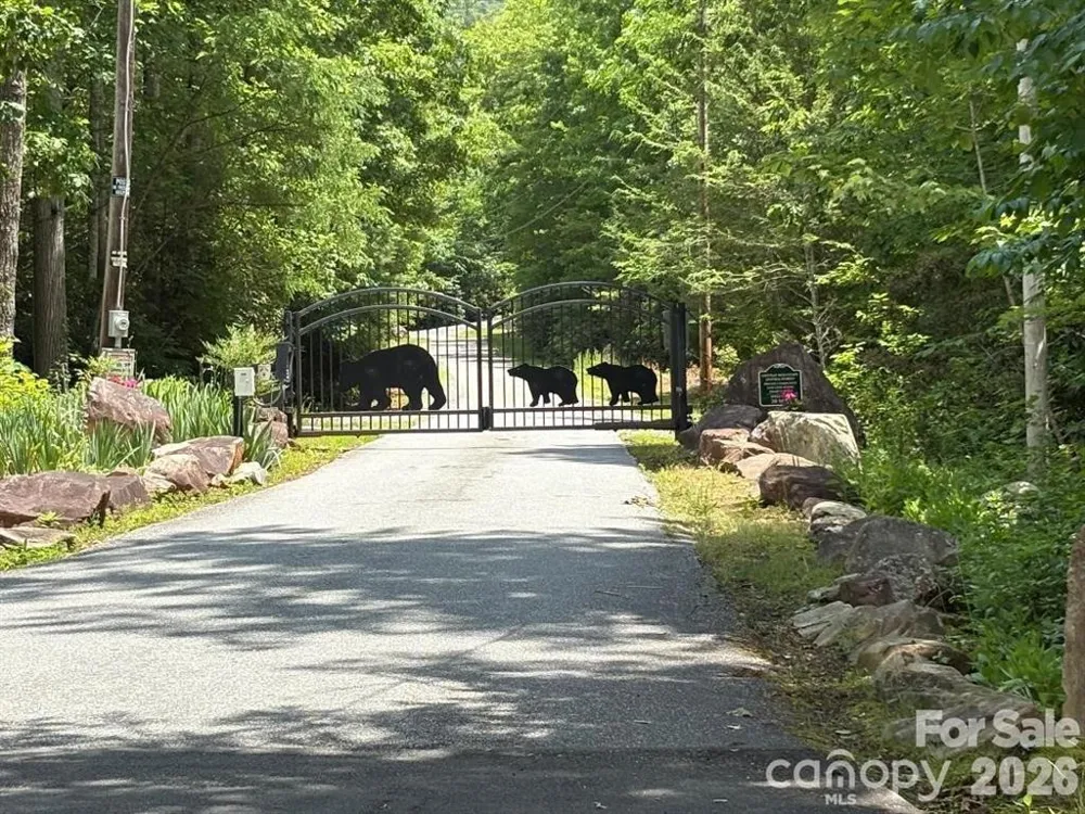 Lot 51B Wilderness Drive Marion, NC 28752