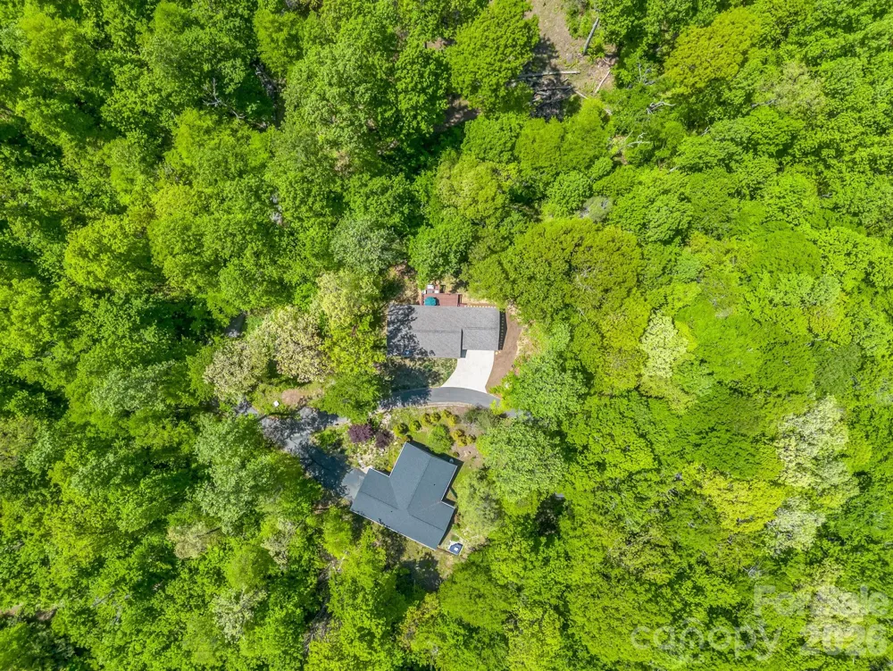 135 Half Moon Lane Brevard, NC 28712