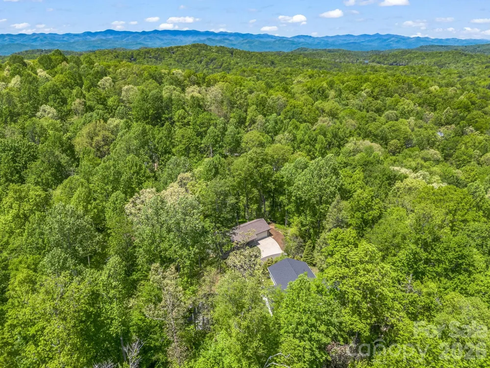 135 Half Moon Lane Brevard, NC 28712