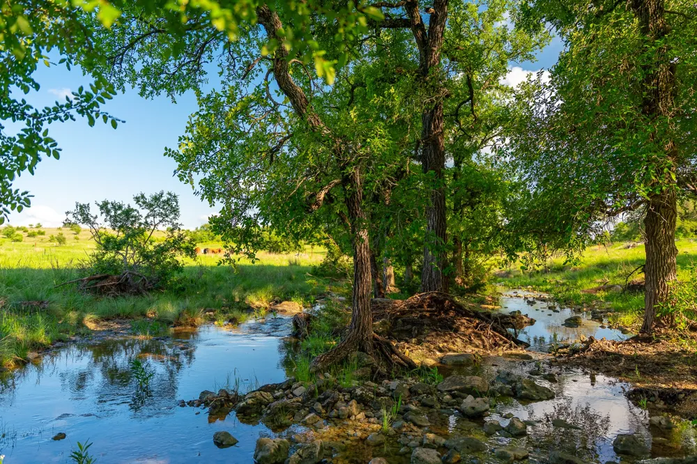 5950 Moccasin Bend Road Gatesville, TX 76528