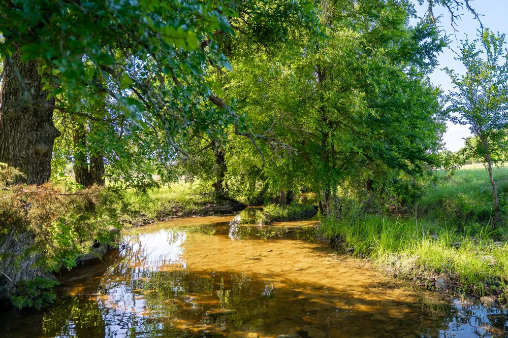 5950 Moccasin Bend Road Gatesville, TX 76528